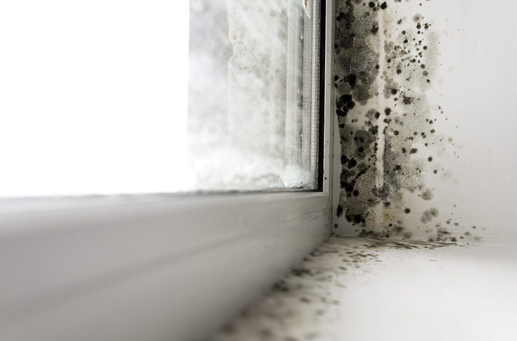 Ventilation positive Indian R contre la condensation